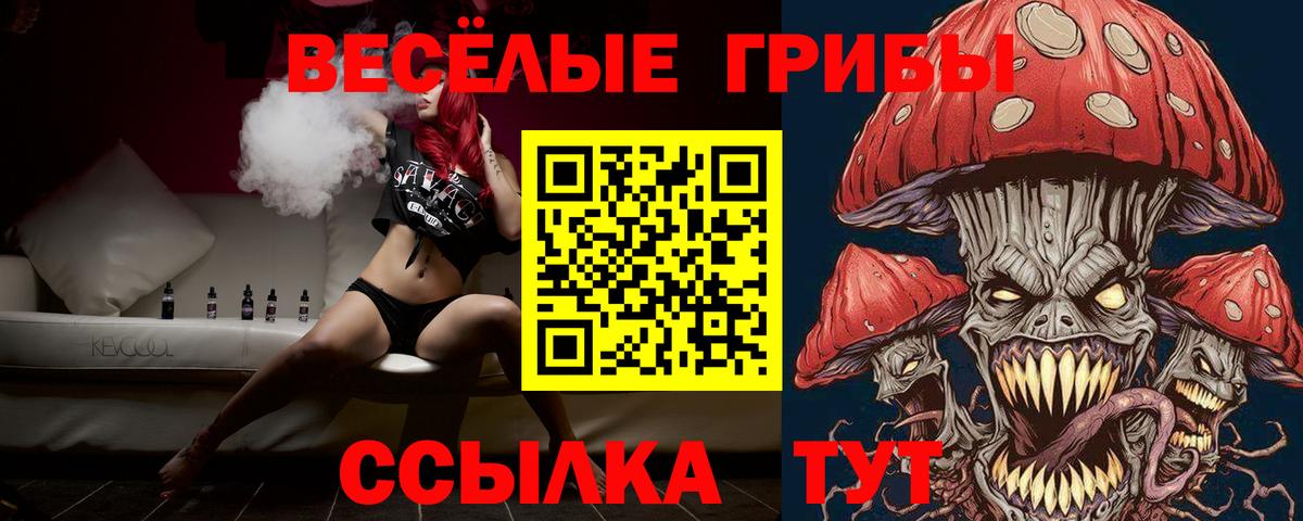Галлюциногенные грибы Magic Shrooms  Галлюциногенные грибы Cubensis  Вход с VPN  Курчалой 